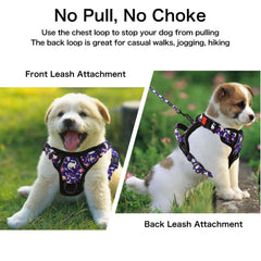 Petmolico poop bag holder dispenser keeps bags handy during outings.