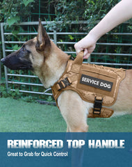 Front view of PETNANNY vest showing dual metal buckles for secure fit.