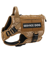 PETNANNY Tactical Vest on a dog during a walk for no-pull training.