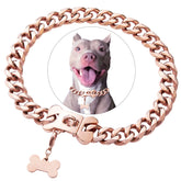 Petoo rose gold stainless steel Cuban link collar closeup highlighting premium finish for stylish wear