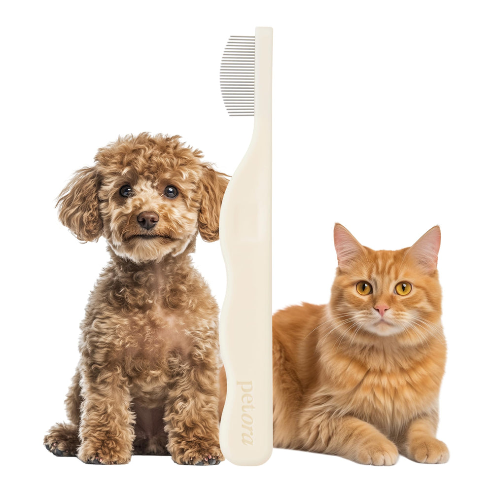 Petora BRUSH ON ME rounded-tips closeup for gentle tear-stain grooming