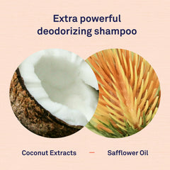 Petpost shampoo on dog and cat to freshen coat safely.