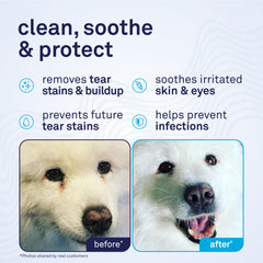 Petpost Tear Stain Wipes soft cotton pad ready for precise eye cleaning