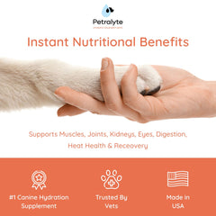 Petralyte dog hydration in bowl illustrating quick water absorption