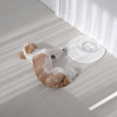 PETRIUM Stone Dry Mat beside pet bowls speeds drying and cleanup.