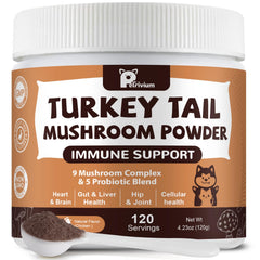 Petrivium dog-cat mushroom powder bowl boosts immune-support blend during meals.
