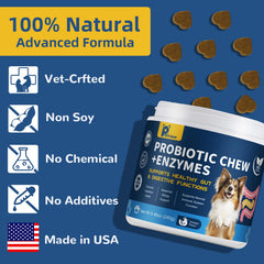 Petrivium dog probiotic bottle closeup highlights 10 billion CFUs for balanced digestion.