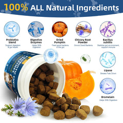 Petrivium dog probiotic fiber-enzyme blend image showcases comprehensive digestive support.