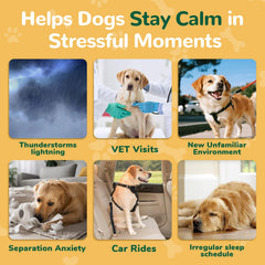 Petrivium calming chews support separation anxiety during car rides and vet visits.