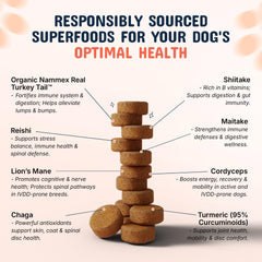 Pets Are Kids Too real turkey tail mushroom powder highlights premium immune support