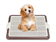 Pets-N-Me dog pee pad holder front view shows secure pad placement for mess-free training