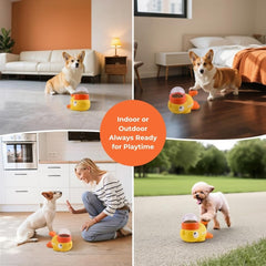 Pets Sparkle three-lids-easy-medium-hard shows adjustable challenge levels for learning pace
