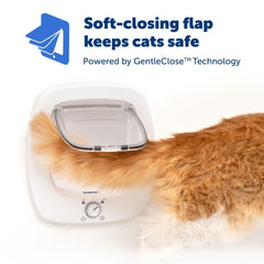 PetSafe Big Cat Door suited for interior and exterior doors expands pet roaming
