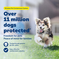 Petsafe boundary flags in the yard guide dogs toward the boundary edges.