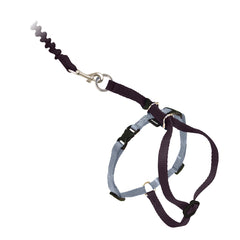 PetSafe Come With Me Kitty Harness large black on a cat for outdoor walks.
