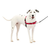 PetSafe Easy Walk harness front chest attachment guides dogs during walks
