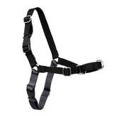 PetSafe Easy Walk Harness front-chest attachment guiding pulls for calmer, more controlled walks.