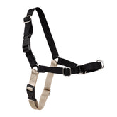 PetSafe Easy Walk Harness front view with front-chest attachment for controlled walking.