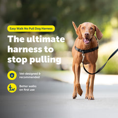 PetSafe Easy Walk martingale loop view for gentle redirection.