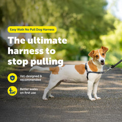 PetSafe Easy Walk martingale loop redirects leash pressure for safer training during walks.