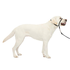 Petsafe Gentle Leader nose loop close-up demonstrates gentle, controlled walking.