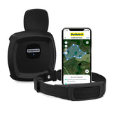 PetSafe Guardian GPS fence collar worn by dog outdoors, showcasing reliable wireless containment