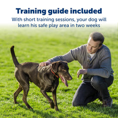 Petsafe Stay & Play multi-pet system image shows adding collars for several dogs.