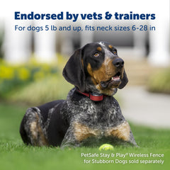 Petsafe Stay & Play receiver collar waterproof supports daily outdoor use and reliable containment.