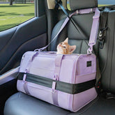 Petsfit cat carrier shows patented safety buckles for secure car travel