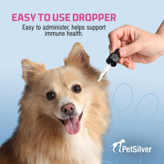 PetSilver Immune Support dropper closeup shows precise dosing for pets.
