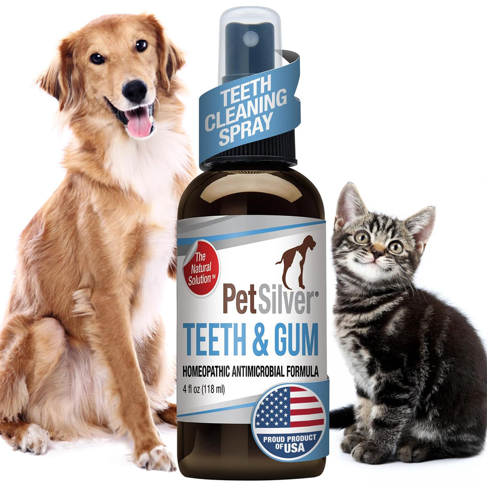 PetSilver Teeth & Gum Spray bottle for at-home dental care and fresh breath.