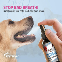 PetSilver Teeth & Gum Spray pump-action dispensing for quick, no-brush dental maintenance.