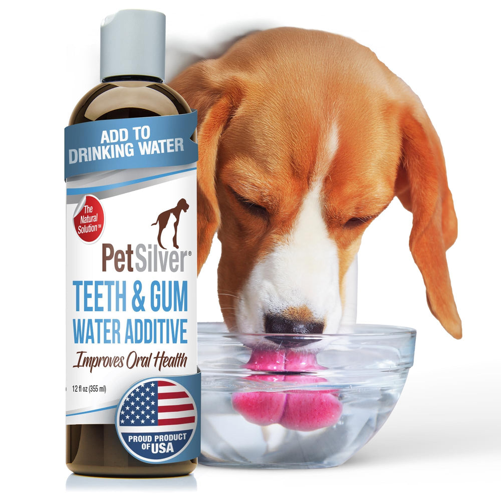 PetSilver Teeth and Gum water additive bottle for fresh breath and daily dental care.