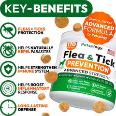 Petsology dog chews texture close up highlights tasty dog friendly protection