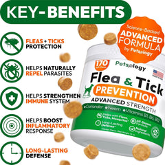 Petsology dog flea tick chews in hand — convenient, tasty supplement for on-the-go protection.