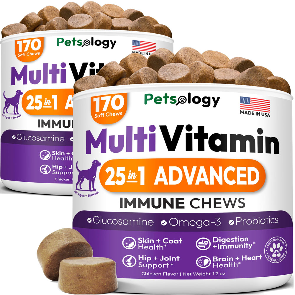 Petsology dog multivitamin chewable bottle front showing 340 chews for daily joint and immune support.