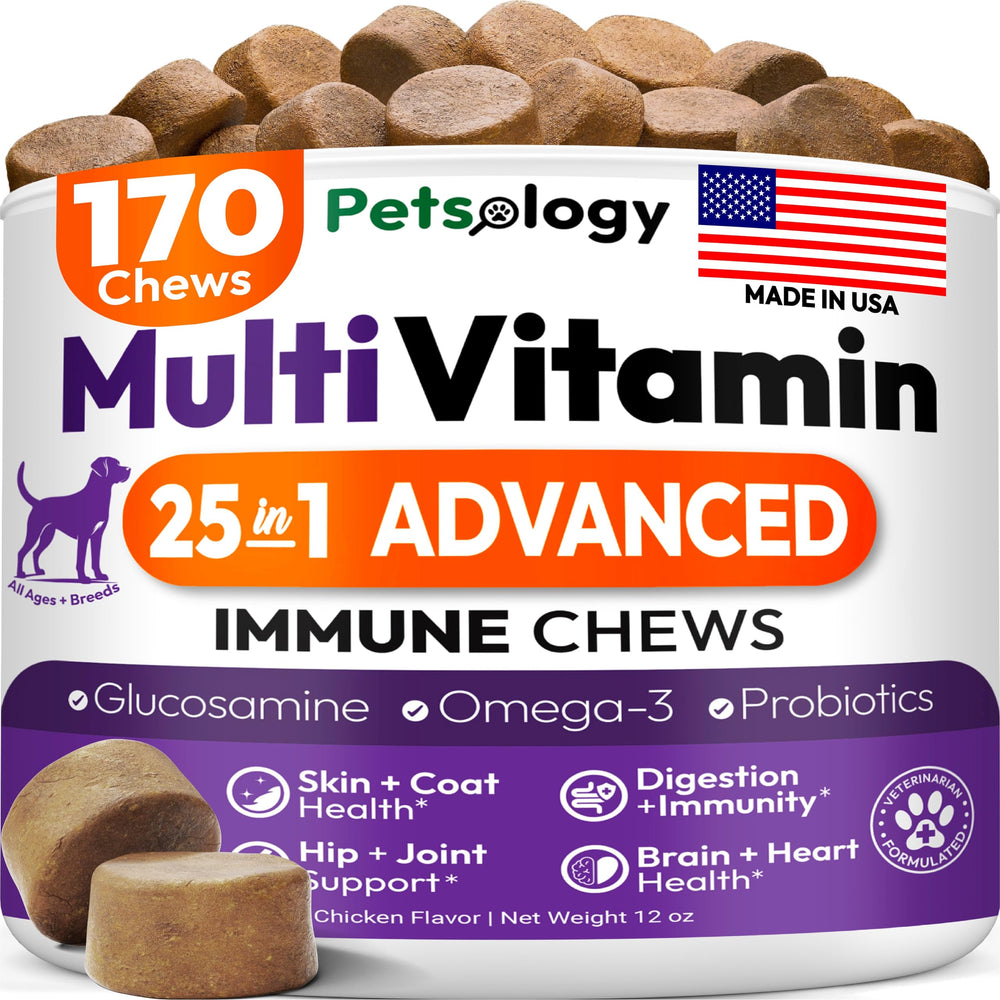 Petsology Dog Multivitamin Chewable Bottle demonstrates convenient daily joint and immune support.