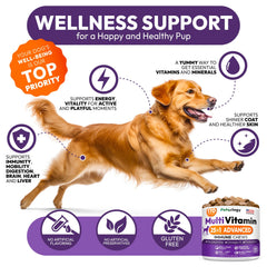 Petsology Dog Multivitamin Made-in-USA Facility image shows safe, quality production.