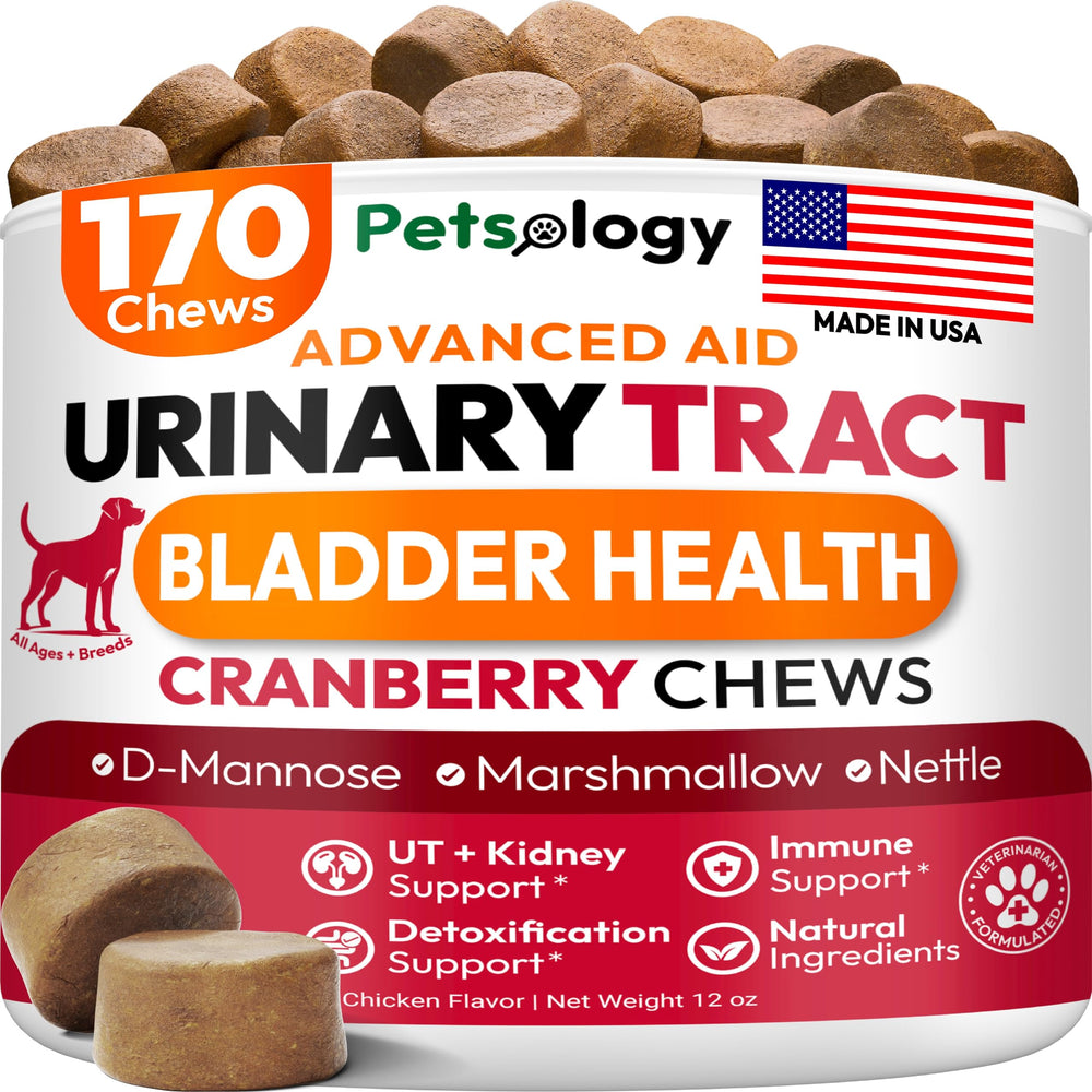 Petsology Dog UTI Chews bottle close-up highlighting cranberry support for urinary health.
