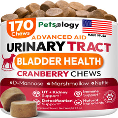 Petsology Dog UTI Chews bottle close-up highlighting cranberry support for urinary health.
