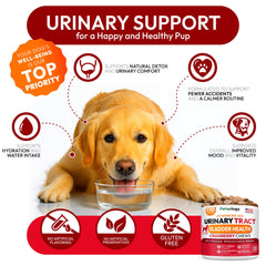 Petsology Dog UTI Chews cranberry image underlines natural urinary support.