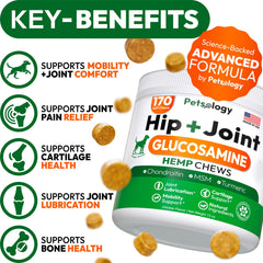 Petsology hip joint chews closeup highlights glucosamine and chondroitin for joint health