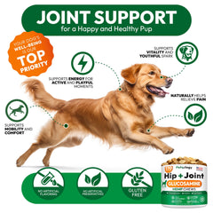 Petsology large-breed hip joint chews shown for daily activity