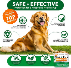 Petsology natural ingredients chews — gentle, safe dog formula supporting pest defense.