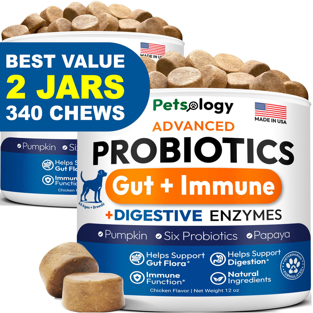 Petsology Probiotics for Dogs 2-Pack front image highlights convenient gut-support packaging.
