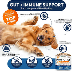 Petsology probiotics for dogs bottle label emphasizes USA-made production.