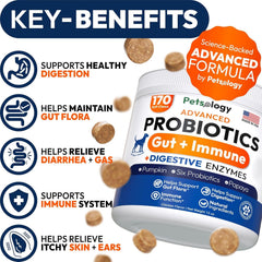 Petsology probiotics dogs chews in bowl demonstrate easy daily supplementation.
