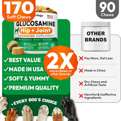Petsology vet-developed natural ingredients support hip and joint health in dogs
