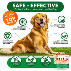 Petsology vet formulated dog chews conveying trusted balanced formulation
