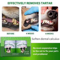 Petstoral plaque-removal dog teeth close-up shows cleaner-looking teeth.